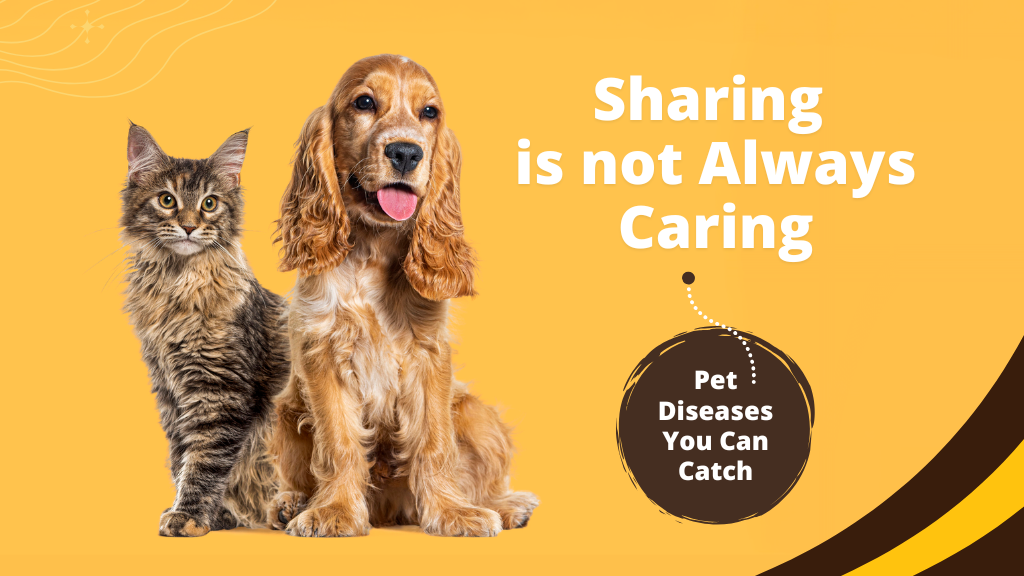 Sharing is not always caring - pet diseases you can catch Sharing is not always caring - pet diseases you can catch